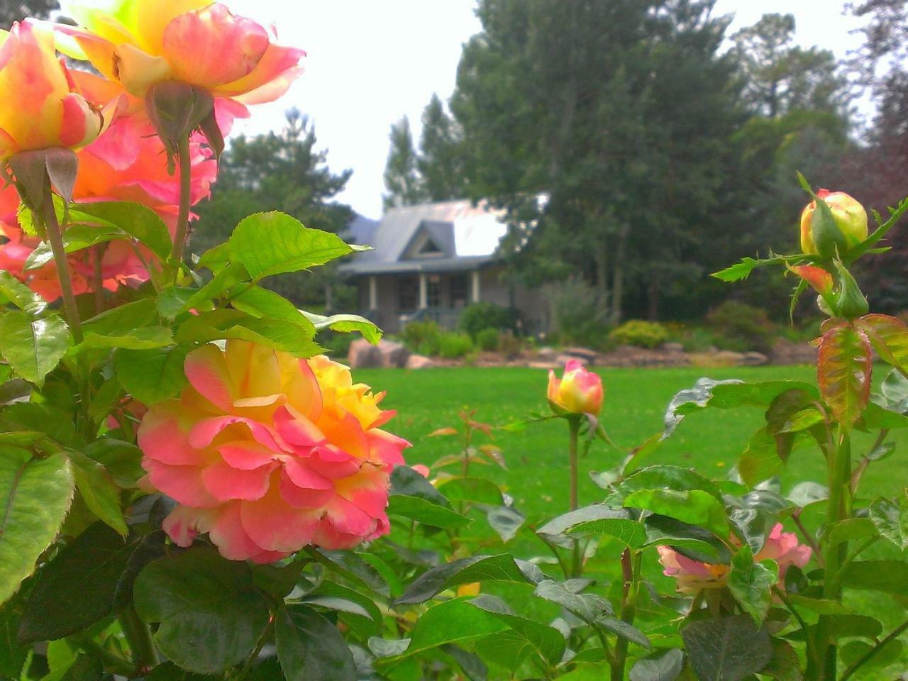Apple Orchard Inn Hermosa Exteriér fotografie